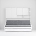 Eco Compact Full/Full XL Sofa Bed and Cabinet System