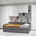 Eco Compact Full/Full XL Sofa Bed and Cabinet System