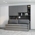 Eco Compact Full/Full XL Sofa Bed and Cabinet System