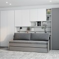 Eco Compact Full/Full XL Sofa Bed and Cabinet System