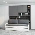 Eco Compact Full/Full XL Sofa Bed and Cabinet System