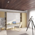 Pensiero Twin Wall Bunk Bed with Desk