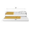 Full/Full XL Sofa Bed with Trundle