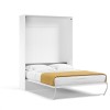 Loft Bed Queen Size