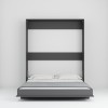 Eco Platform Queen Murphy Bed Eco Platform Queen Murphy Bed