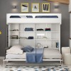 Castello Twin Over Full Wall Bunk Bed with Desk Castello Twin Over Full Wall Bunk Bed with Desk